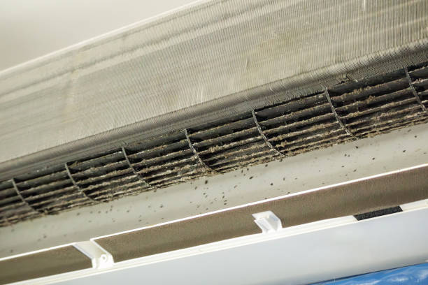 Best Residential Air Duct Cleaning  in Lakeview, GA